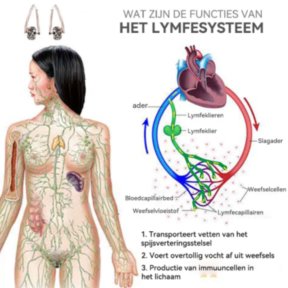 LymPhora