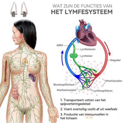 LymPhora